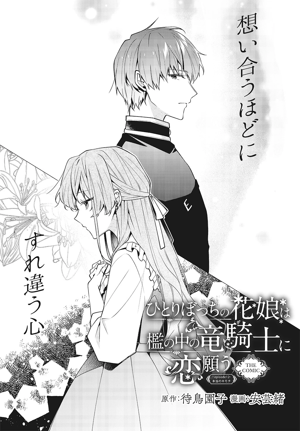 あさみ★ひとりぼっちの花娘は檻の中の竜騎士に恋願う　2＆３ 待鳥園子 ひとりぼっちの花娘は檻の中の竜騎士に恋願う② (MAG Garden